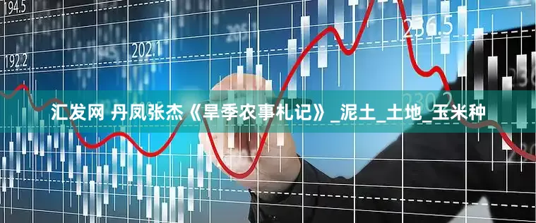 汇发网 丹凤张杰《旱季农事札记》_泥土_土地_玉米种