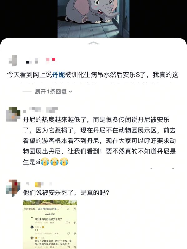 锦富优配 上海野生动物园被“霸凌”大象被曝安乐死? 园方最新回应: 系谣言