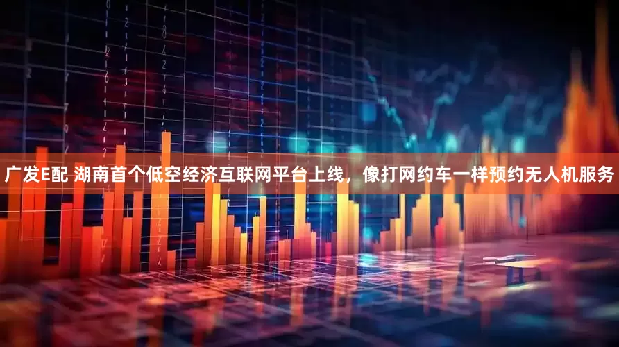 广发E配 湖南首个低空经济互联网平台上线，像打网约车一样预约无人机服务